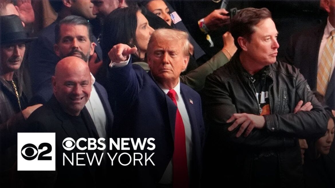 Trump attends UFC fight at MSG with Elon Musk