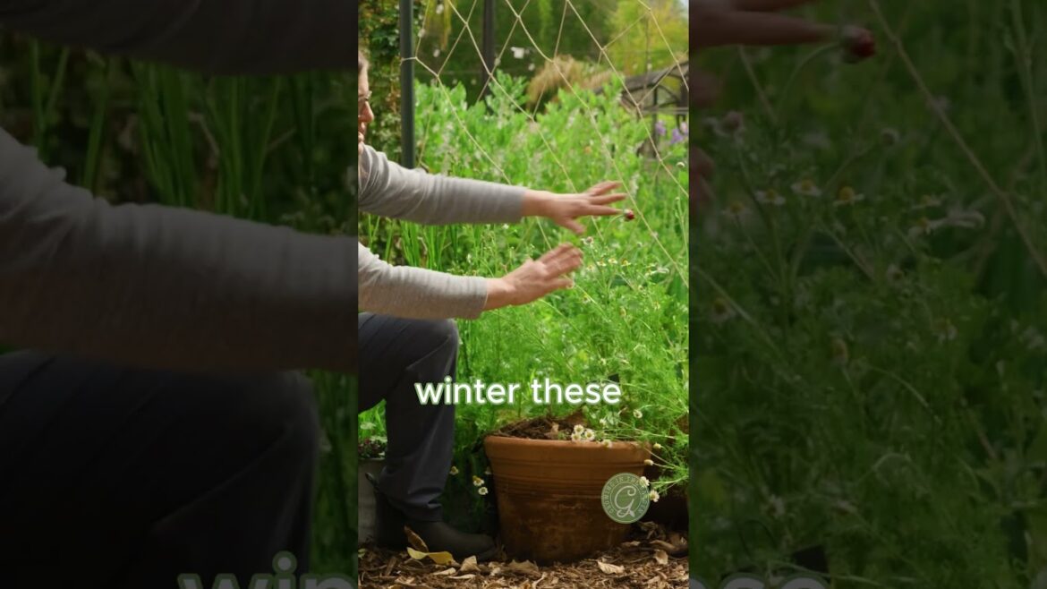 Put Small Containers Away!