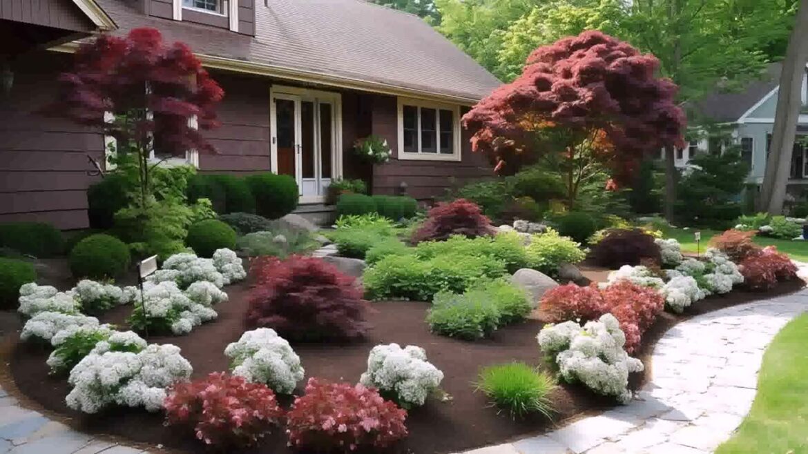 Front Yard Landscaping Ideas With Shrubs