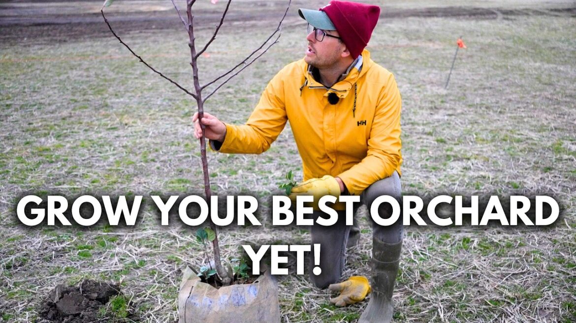 MIgardener: Pro Tips From a 3rd Generation Farmer to Grow Productive and Healthy Fruit Trees! Pro Tips From a 3rd Generation Farmer to Grow Productive and Healthy Fruit Trees!