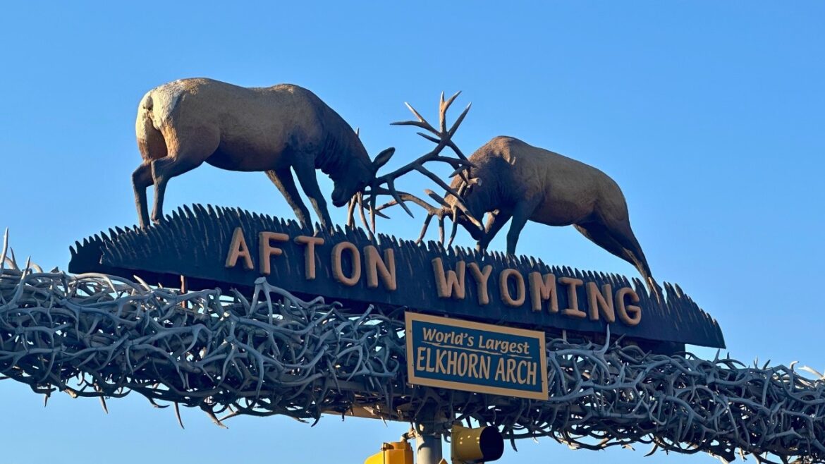 Ultimate Wyoming Elk Horseback Hunting Adventure Ultimate Wyoming Elk Horseback Hunting Adventure