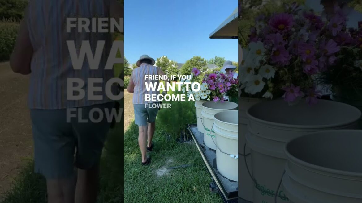 The Bootcamp Bonus ends tonight!!! Comment BOOTCAMP or head to TheGardenersWorkshop The Bootcamp Bonus ends tonight!!! Comment BOOTCAMP or head to TheGardenersWorkshop