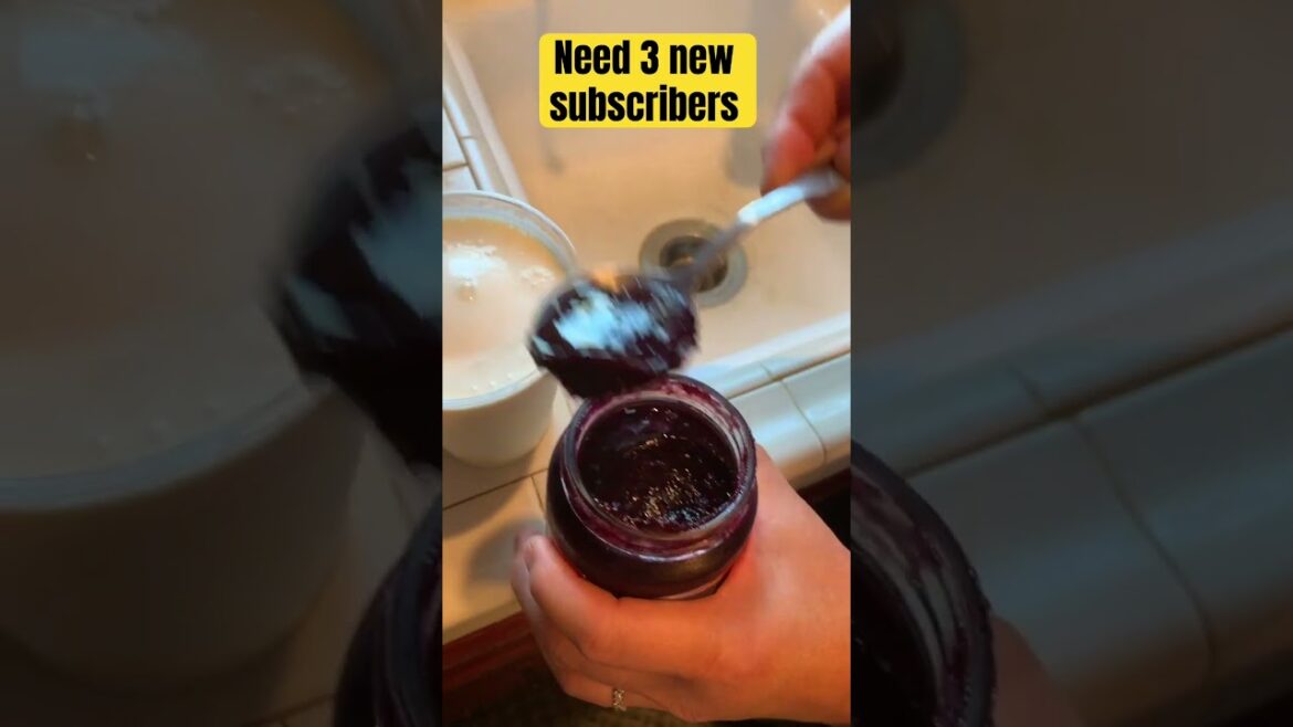 Making your own blueberry swirl from￼ real blueberry