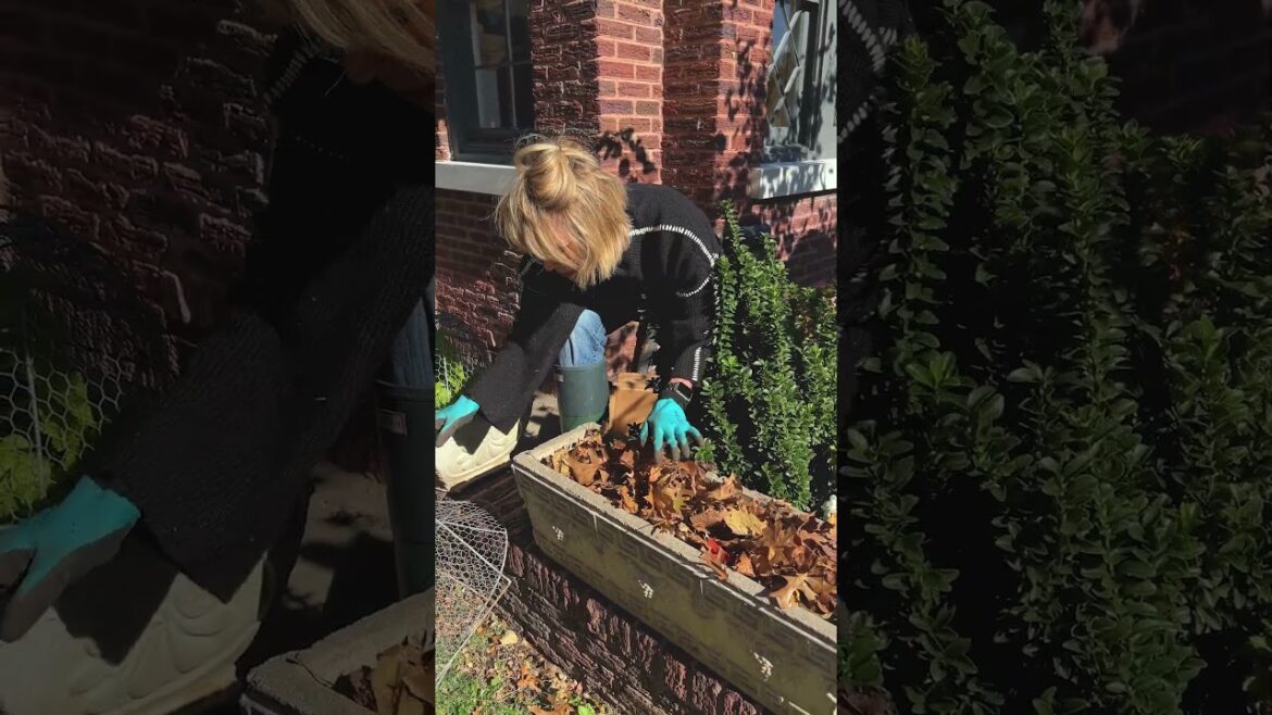 Protect Seedlings with a Leaf Cover #fallgarden #cozyfalldecor #garden #seasonalgarden