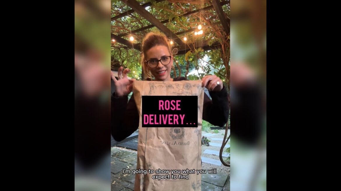 Unpacking A Bare Root Rose #gardentips #gardeningadvice #garden