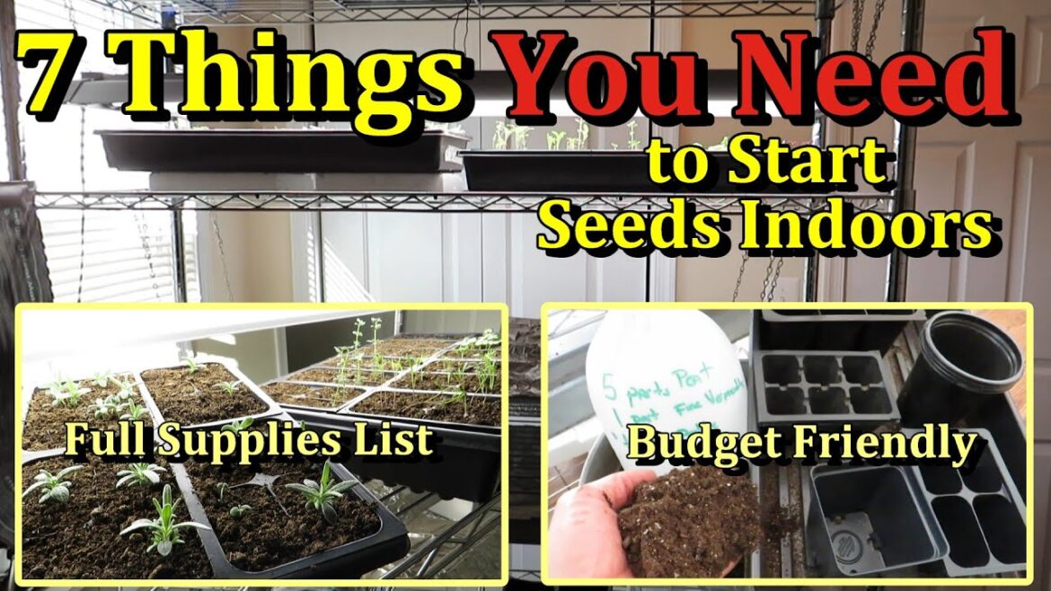 7 Things You Need to Start Seeds Indoors (Materials Needed to Grow Garden Transplants Easily)