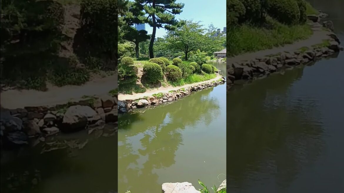 Shukkeien Garden Japan July 20240729 122249 #shorts #japaneselandscape Shukkeien Garden Japan July 20240729 122249 #shorts #japaneselandscape