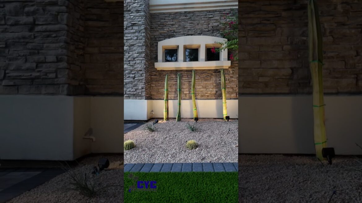 Front Yard Design Project in Phoenix, AZ by CYC Landscaping