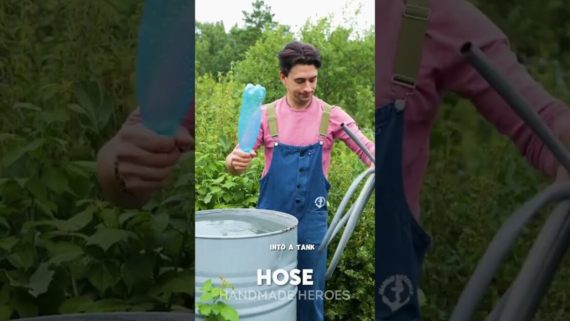 🌿Ideas and tricks to save water and have the best garden in the neighborhood!✨