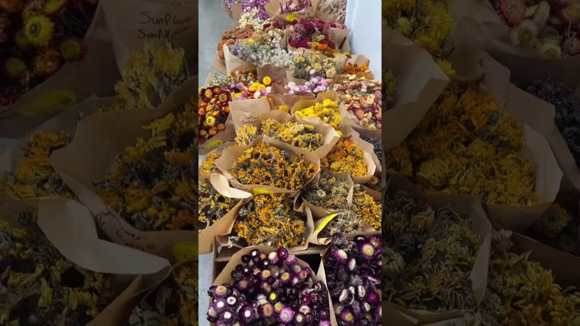 We dry all leftovers