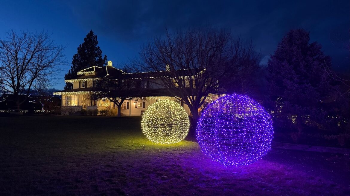 Garden Answer: Making HUGE Lit Spheres & Christmas Light Tour! ๐๐
๐ // Garden Answer Making HUGE Lit Spheres & Christmas Light Tour! ๐๐
๐ // Garden Answer