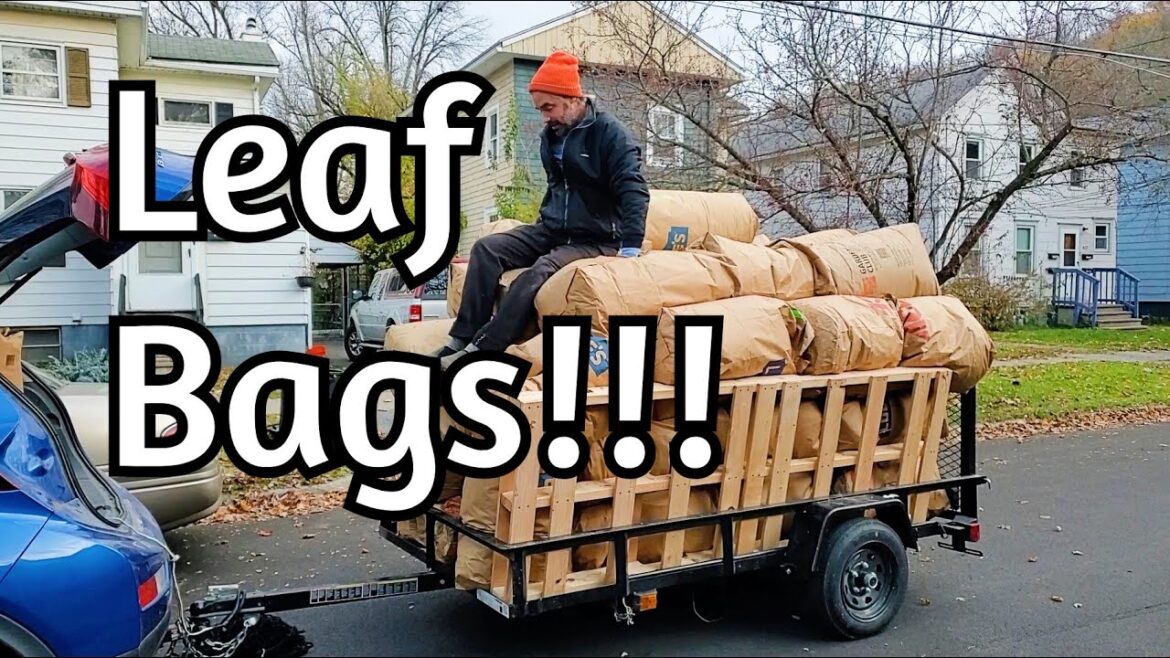 Leaf Bag Season 2024