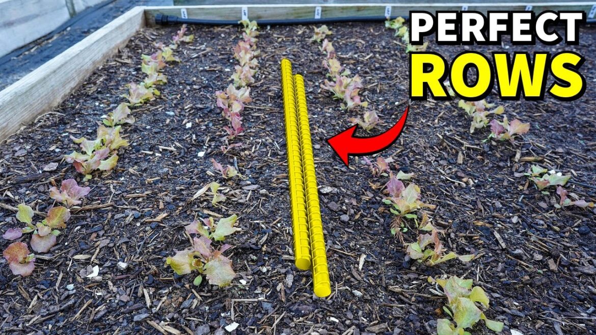 This Garden Hack Makes PERFECT ROWS In Half The Time!