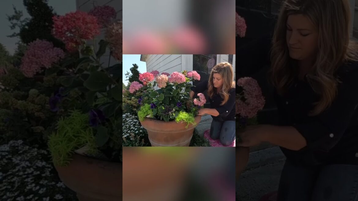 Planting a Fall Container 🍂🪴// Garden Answer