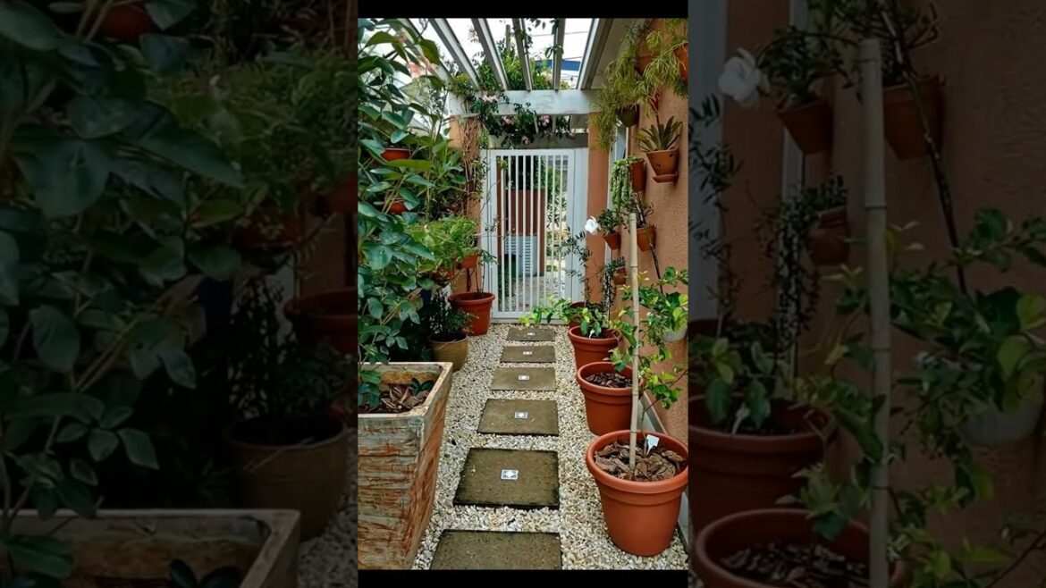 20 Landscaping Ideas