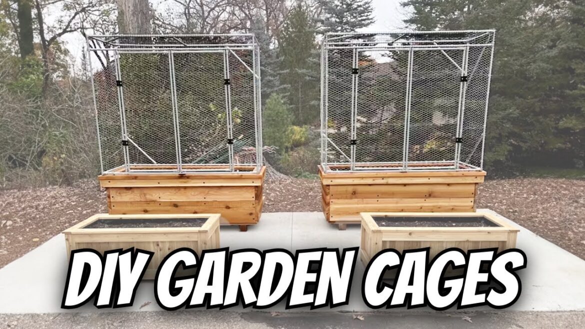 How To Make These DIY Garden Bed Enclosures