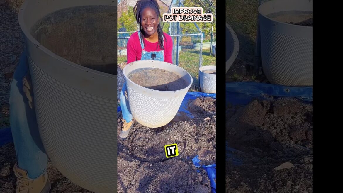 Container Garden TIP