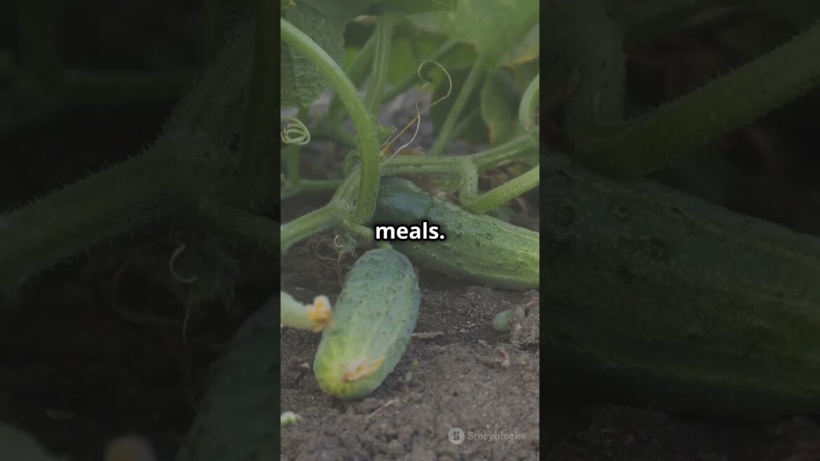 Top Picks to Grow in Your Garden 🌿 (In Just 35 Seconds!) #garden #gardeningideas #gardeningtips