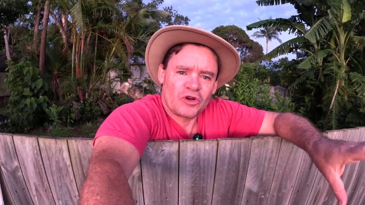 Morning Light CREATES A Thriving Edible Garden!