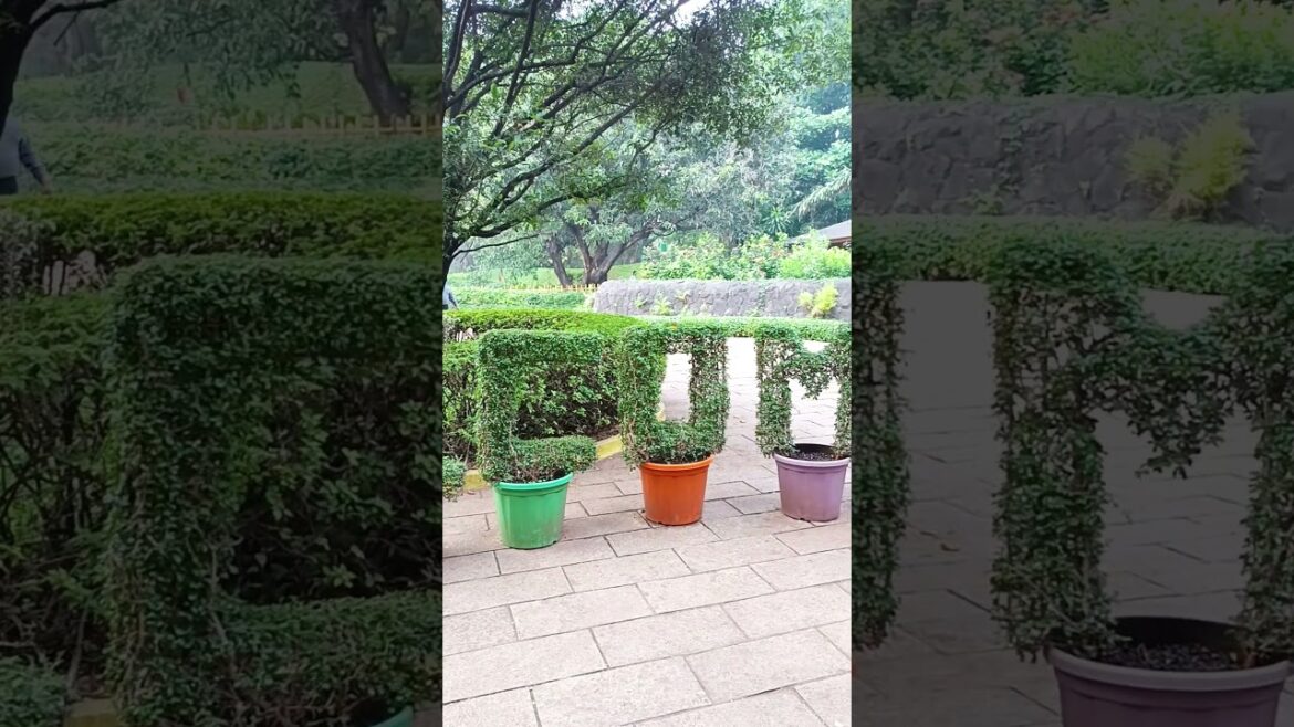 Japanese Garden in Pune | Okayama Friendship Garden Pune, Maharashtra| Pu La Deshpande Garden Pune Japanese Garden in Pune | Okayama Friendship Garden Pune, Maharashtra| Pu La Deshpande Garden Pune