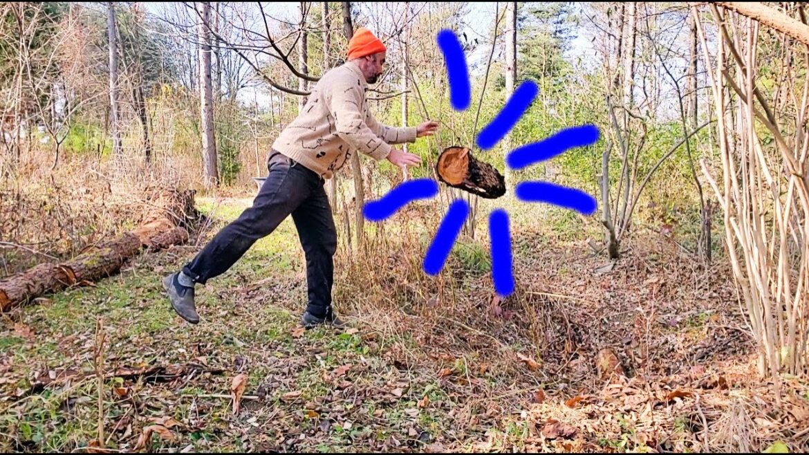 Logs in Ponds! Experiments in managing excess organic matter Logs in Ponds! Experiments in managing excess organic matter