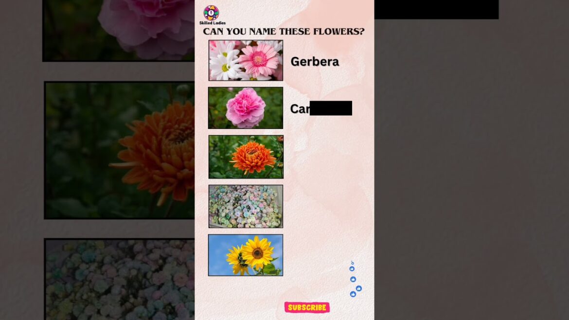 Can you name these flowers in English?#englishlesson #flowers #vocabulary #english #shorts #ielts Can you name these flowers in English?#englishlesson #flowers #vocabulary #english #shorts #ielts