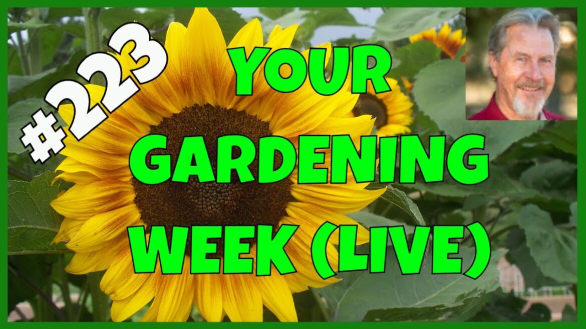 Fall Gardening Tasks (Q&A) Fall Gardening Tasks (Q&A)