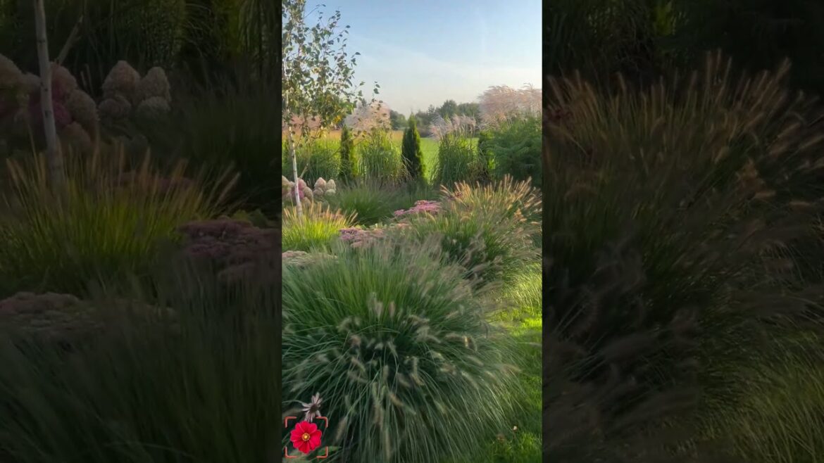 How long does it take to complete a structure like this? #plantidentifier #picturethis