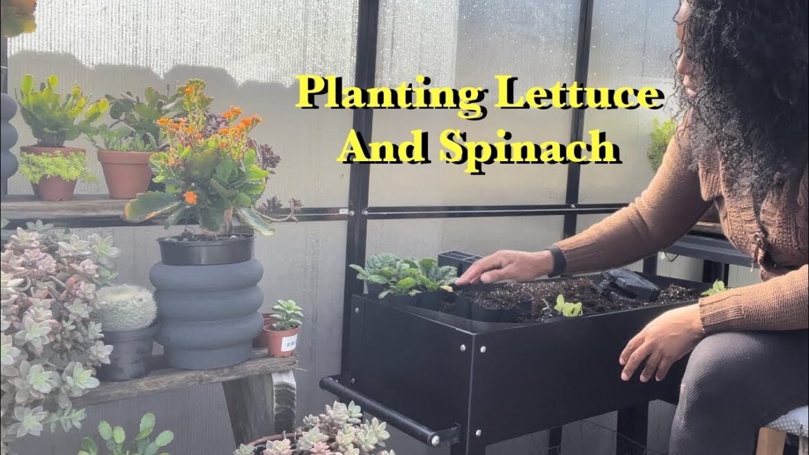 How To: Planting Fall And Winter Crops #gardening #rurallife #growyourown