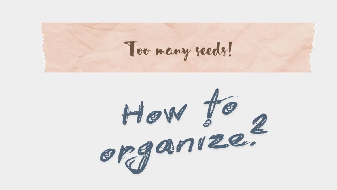 Organize Your Seed Stash like a PRO | Simple Tips to Declutter and Beat Overwhelm