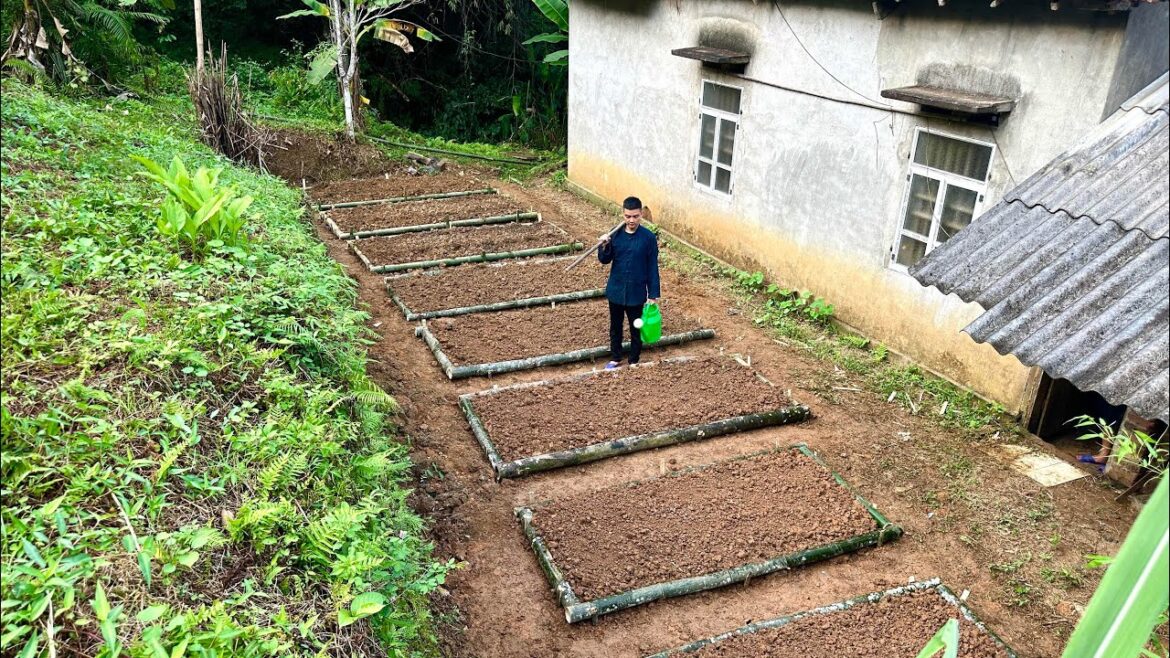 Land Rehabilitation for Vegetable Gardening: Transforming Soil for a Thriving Garden Land Rehabilitation for Vegetable Gardening: Transforming Soil for a Thriving Garden