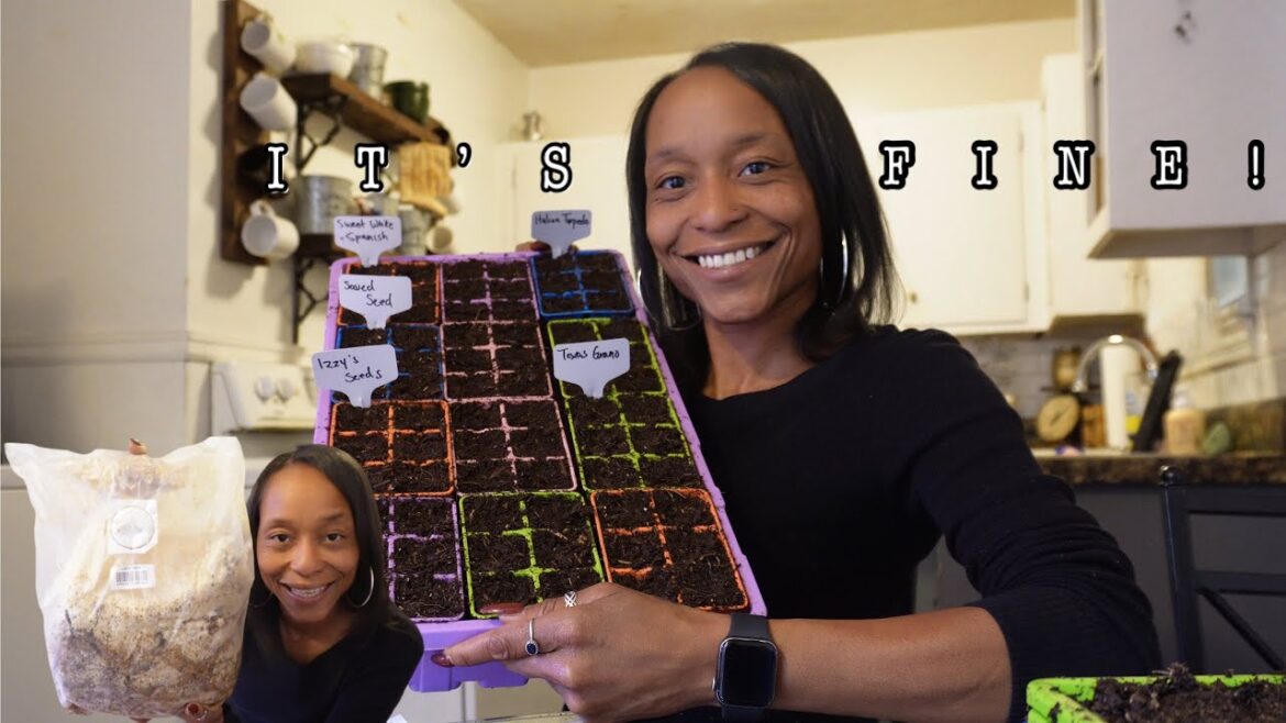 Seeds I’m Starting Now in VA | More Mushrooms Showed Up | Quail Baby Update | Seed Starting Station Seeds I'm Starting Now in VA | More Mushrooms Showed Up | Quail Baby Update | Seed Starting Station