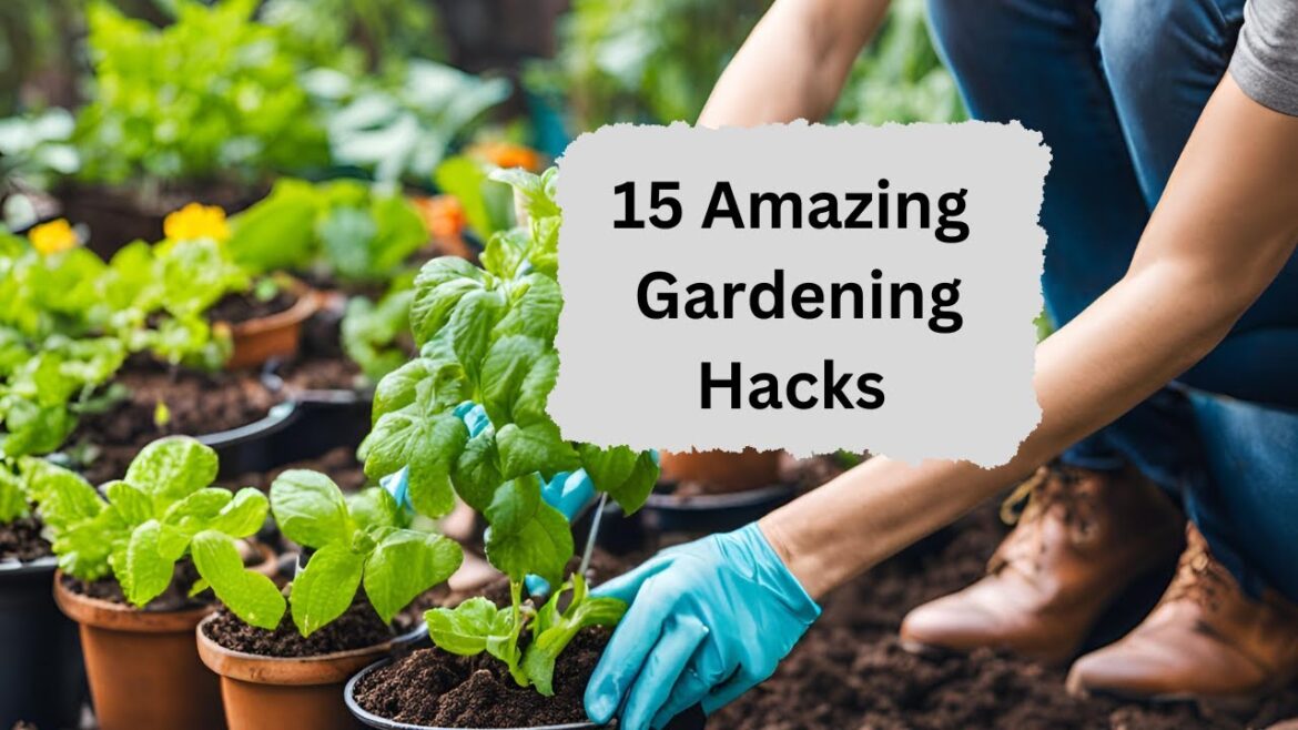 Top 15 Free Gardening Hacks That Actually Work | GARDENING TRICKS & TIPS Top 15 Free Gardening Hacks That Actually Work | GARDENING TRICKS & TIPS