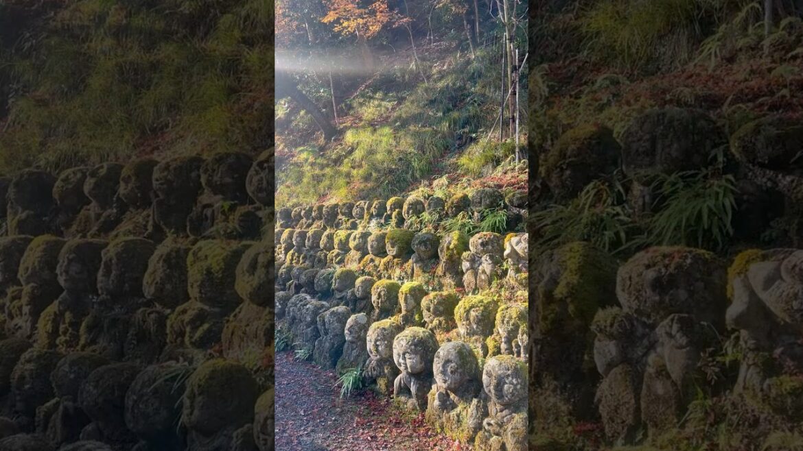 Soaking Worship #japan #japanese #scuplture #temple #shrine #landscape #garden #zen #moss #green