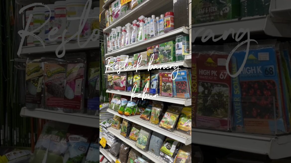 Restock barang kebun 🥰 #gardening #kebunmini #kebun