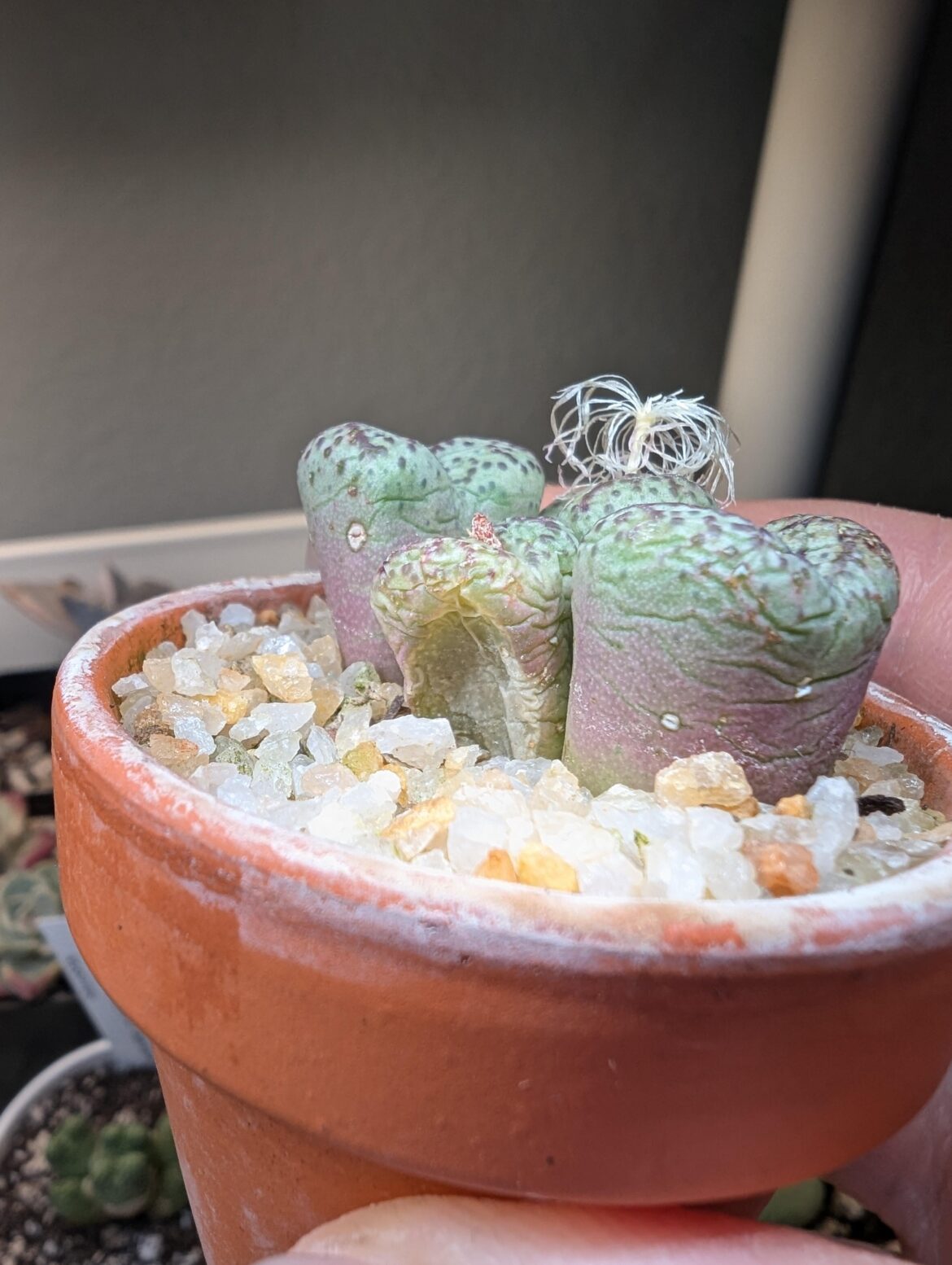 What is happening here?