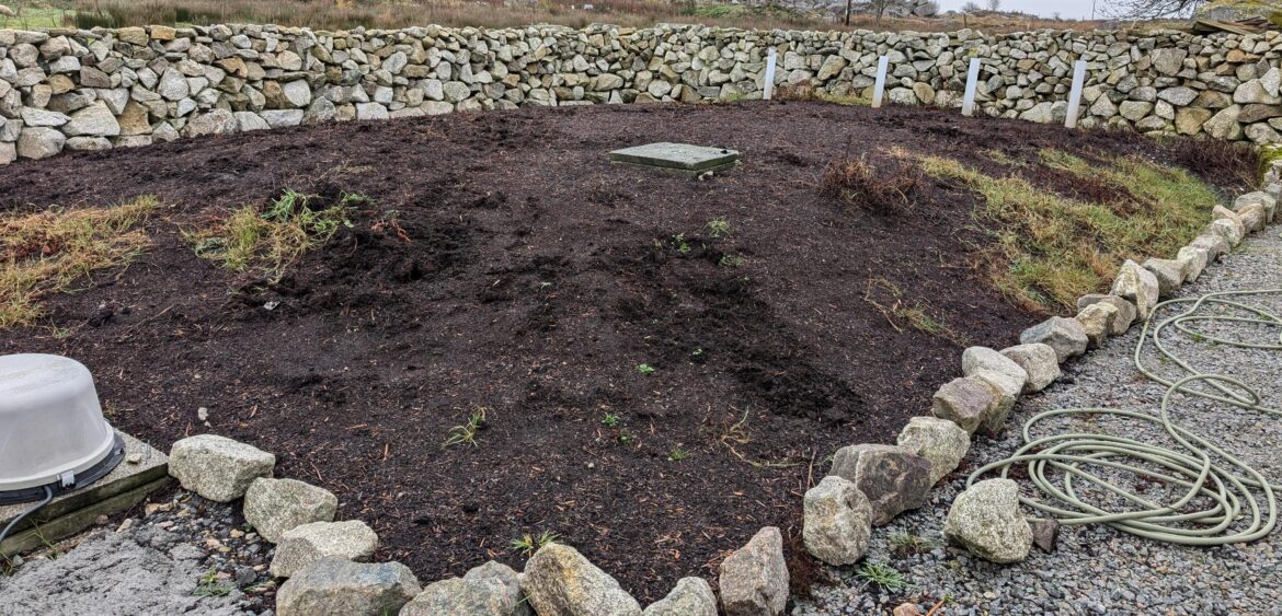 How can I keep this area low maintenance?