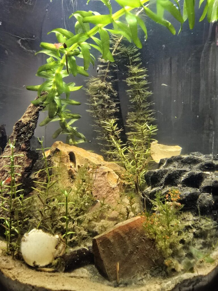 My little underwater world