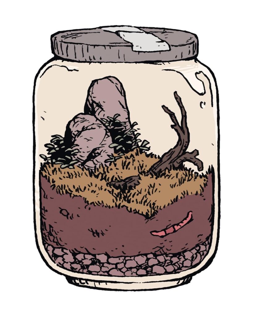 Terrarium Concepts