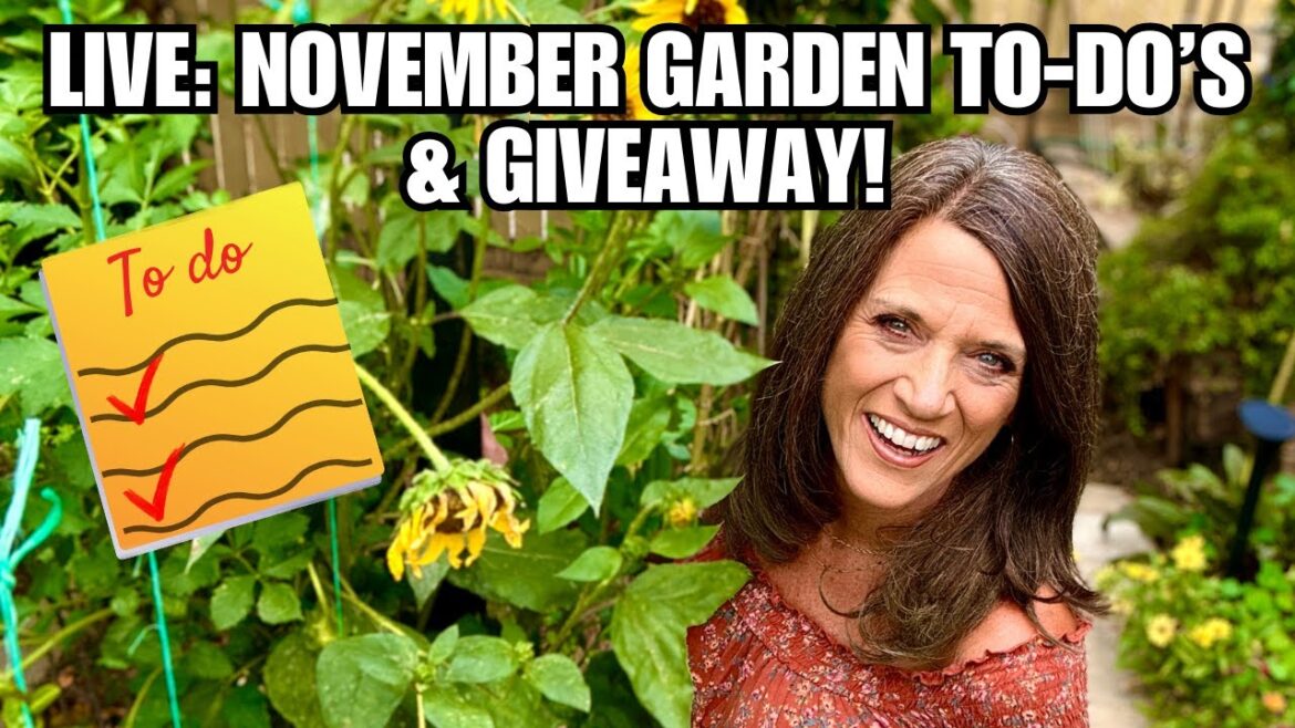 CaliKim: LIVE: Get Ahead of the Game: November Garden To-Dos’ + Grow BIG Winter Giveaway! LIVE: Get Ahead of the Game: November Garden To-Dos’ + Grow BIG Winter Giveaway!