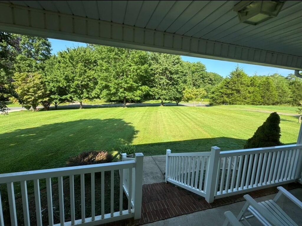 First Full Yard Renovation