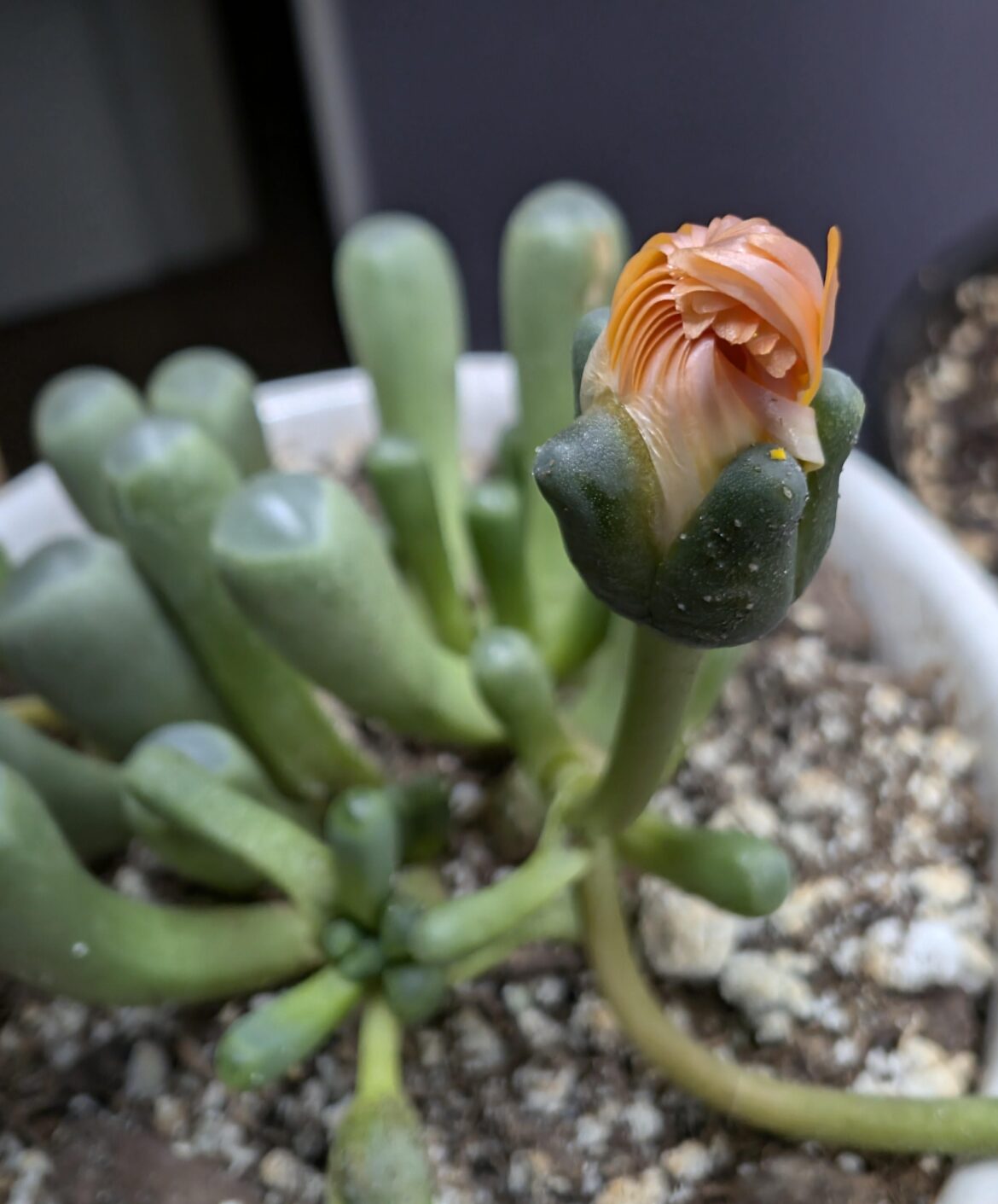 It's about to open up but I have to leave for work in 20 mins