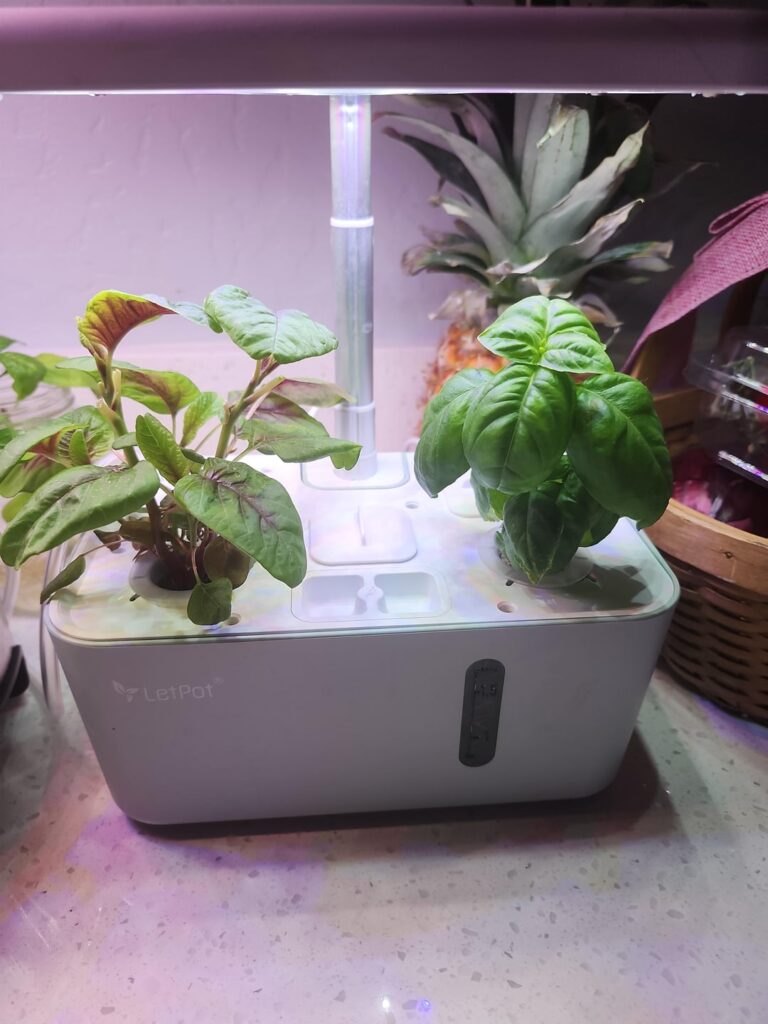 I love my Letpot hydroponics system.