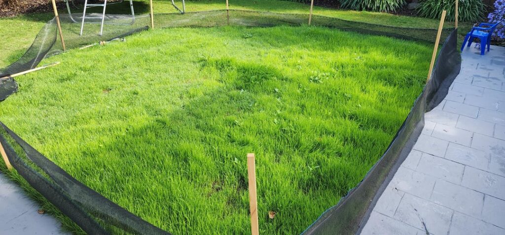 Can we cut this and allow foot traffic?