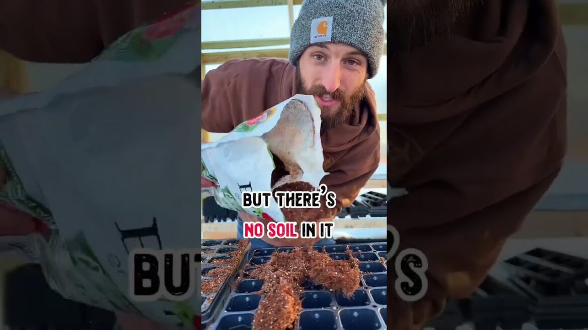 Seed Starting Mix vs. Potting Soil: What You NEED to Know