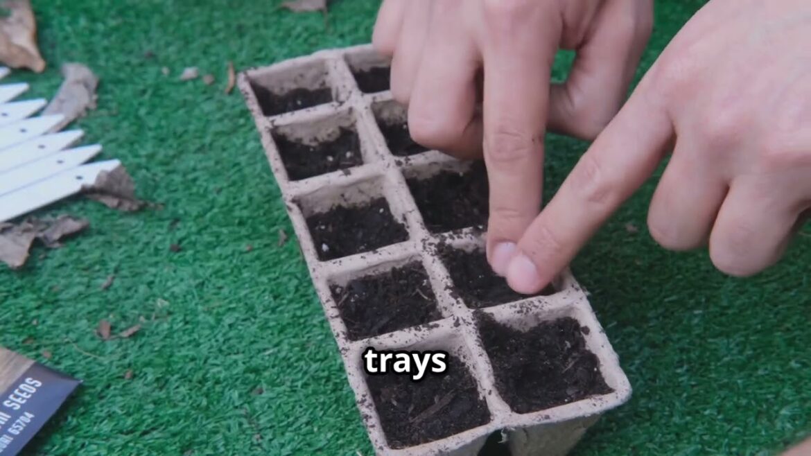 Start Growing Seeds Now: The Secret to a Thriving Garden Next Year Revealed! #SeedStarting #Garden