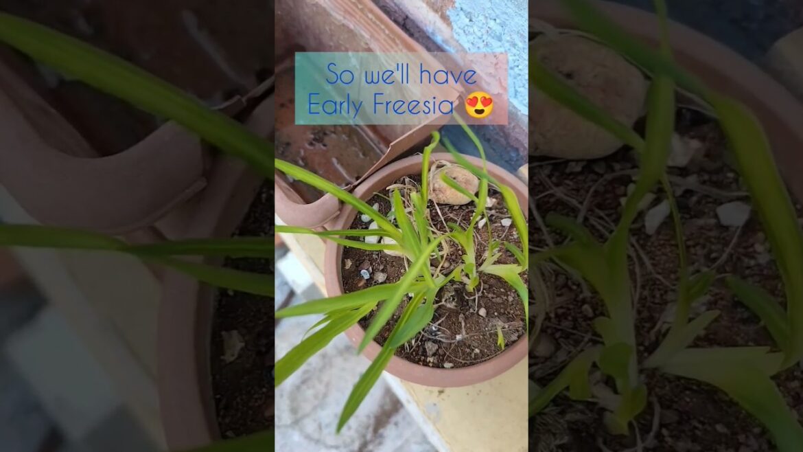 The Rain has Changed plans😁