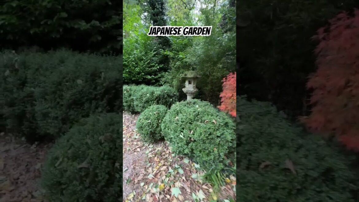 Ultimate Japanese Garden Autumn Relaxation Walk