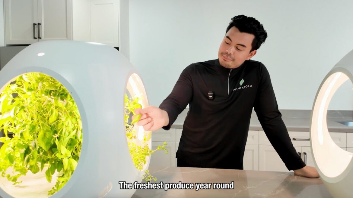 Plantaform Indoor Garden: Sustainable Living Starts Here Plantaform Indoor Garden: Sustainable Living Starts Here