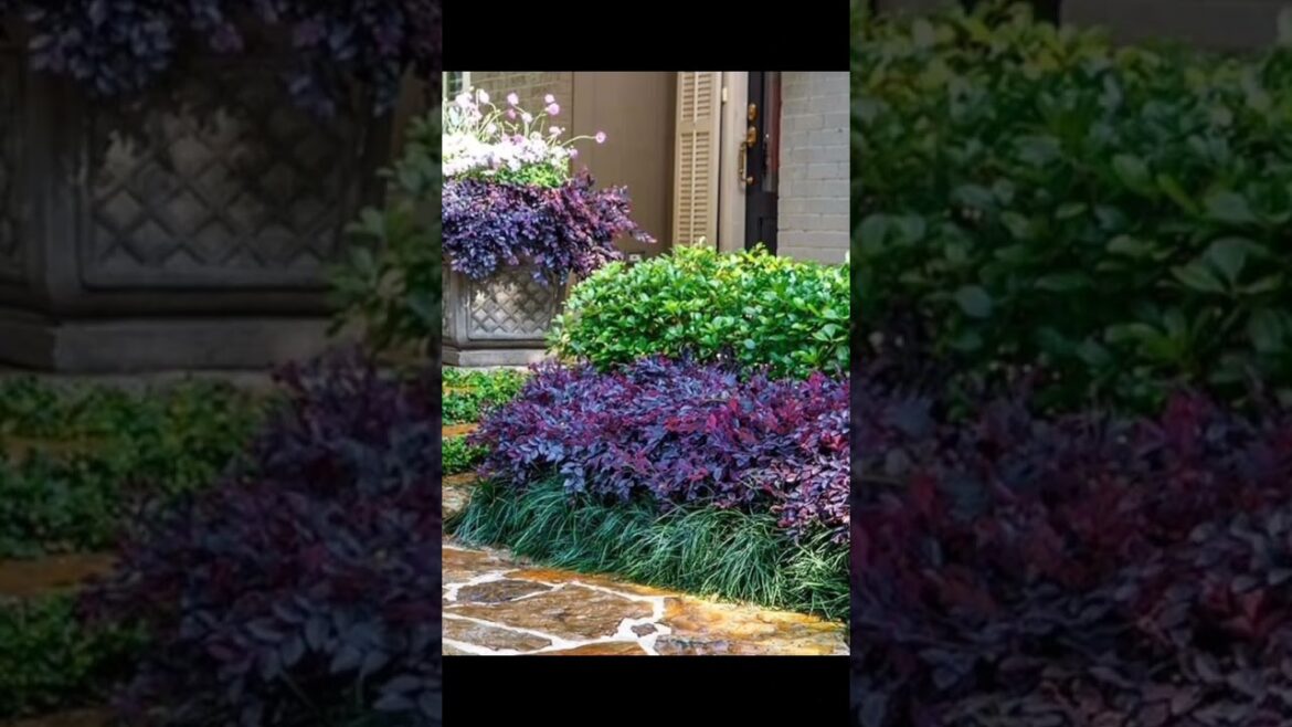 Ideas for small garden design | Small yard landscaping ideas